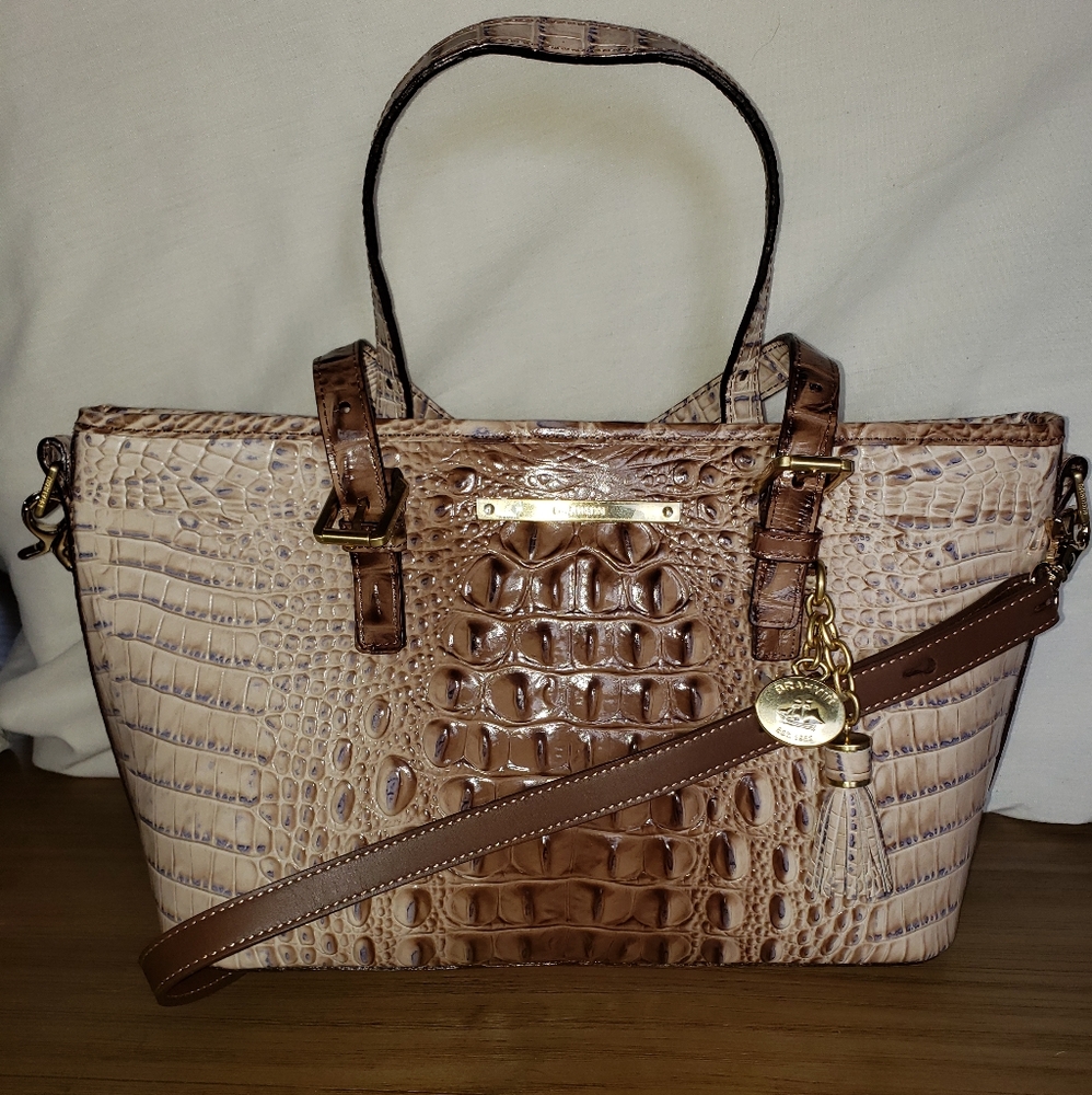 Brahmin mini asher